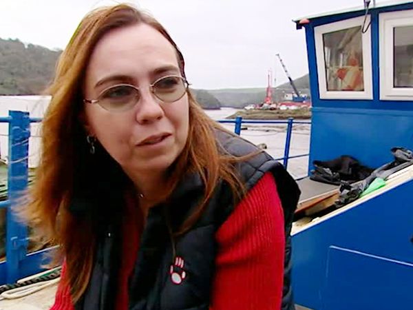 Build a New Life in the Country - Ireland Revisit