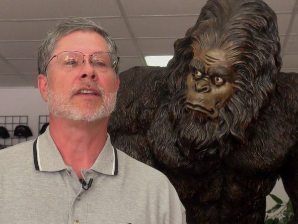 Chasing Bigfoot - Bigfoot Encounters