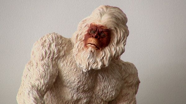 Chasing Bigfoot - The Bigfoot Phenomenon