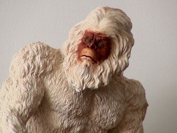 Chasing Bigfoot - The Bigfoot Phenomenon