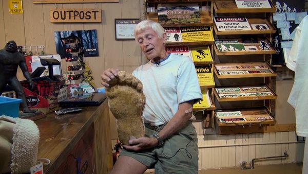 Chasing Bigfoot - Bigfoot Research and Evidence