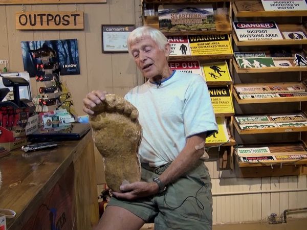 Chasing Bigfoot - Bigfoot Research and Evidence