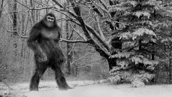 Chasing Bigfoot - The Nature of Bigfoot