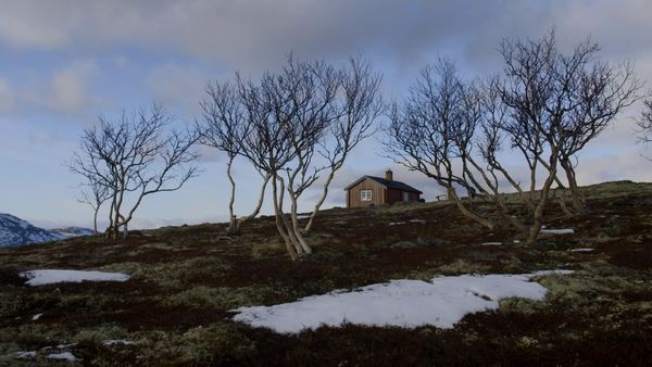 Stugfixarna Norge - Avsnitt 106