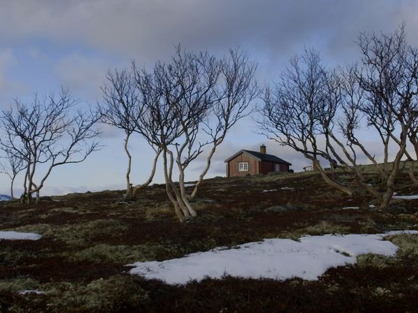 Stugfixarna Norge - Avsnitt 106