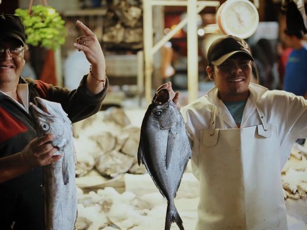 Karena and Kasey's Foreign Flavors - Chile