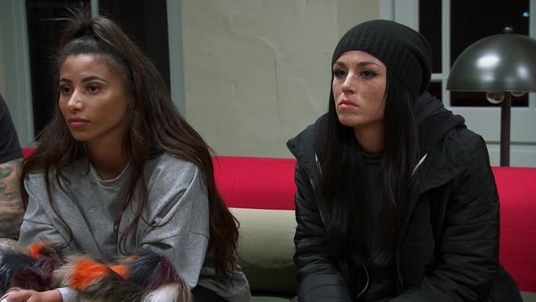 The Challenge - Lavender Is the New Black
