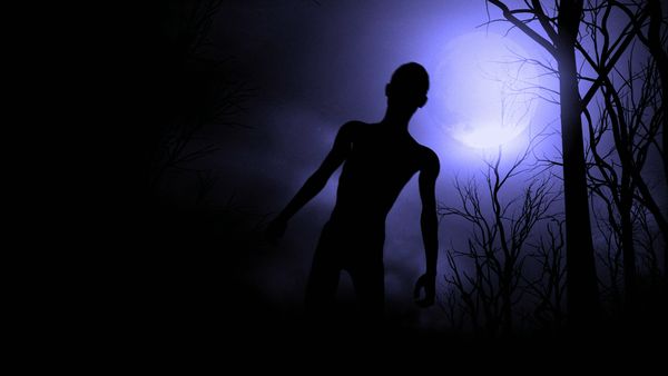 Weird or What 2 - Life After Death