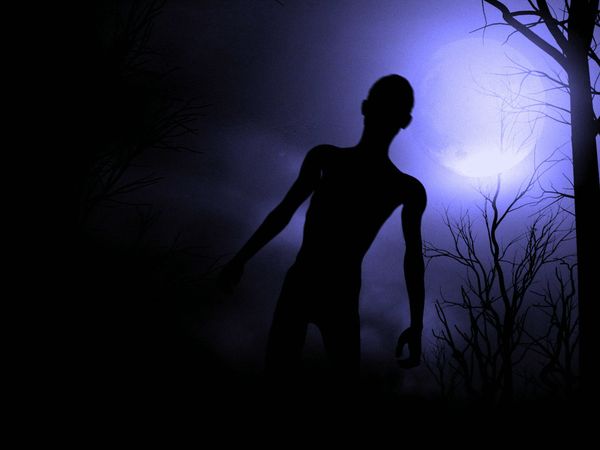 Weird or What 2 - Life After Death