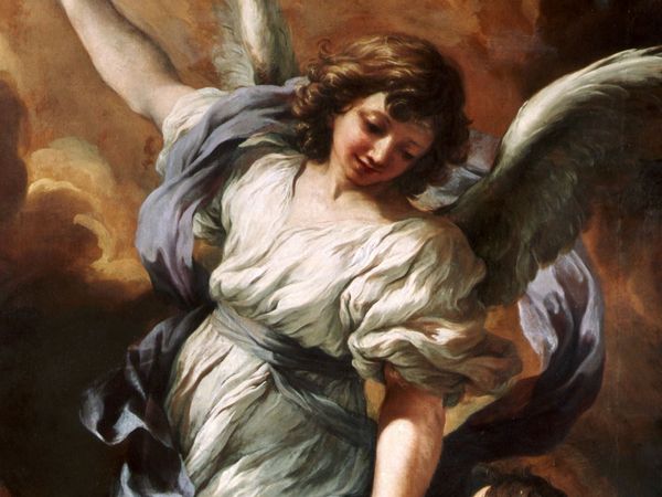Weird or What 2 - Medical Mysteries