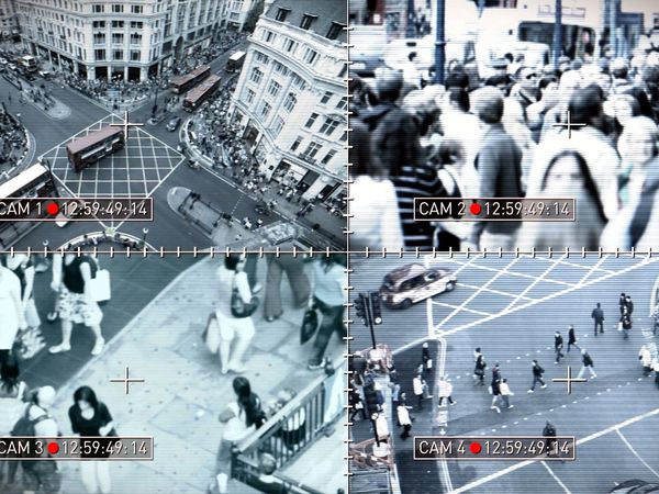 Planeta tierra 2050 - Crime