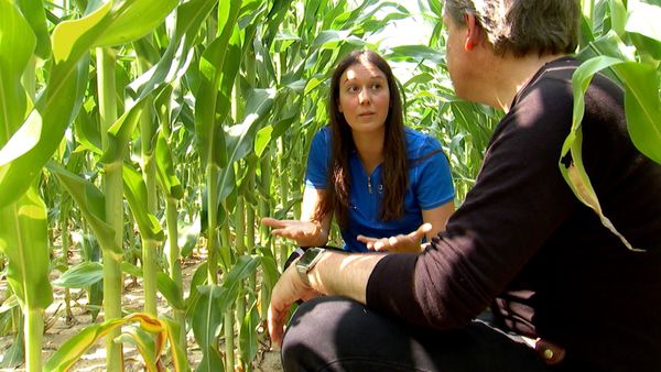 Planeta tierra 2050 - Growing Food