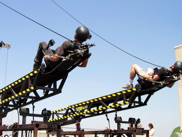 Fear Factor 2.0 USA - Snake Bite