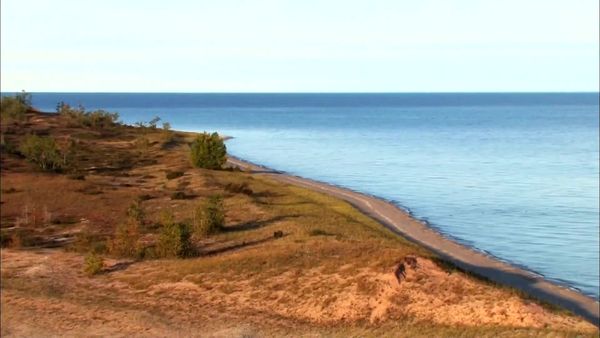 State to State - Michigan Road Trip