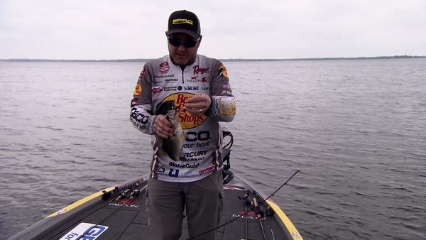 Americana Outdoors - Old Dogs and New Tricks for Bass Fishing
