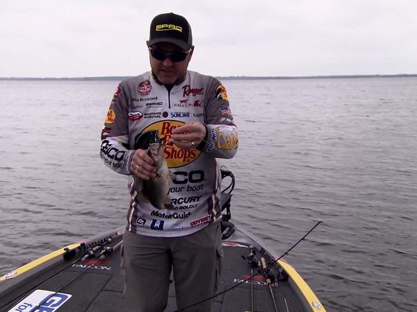 Americana Outdoors - Old Dogs and New Tricks for Bass Fishing