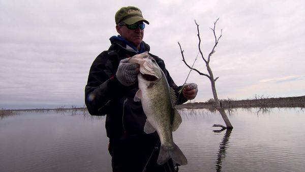 Americana Outdoors - Patterning Largemouth Bass