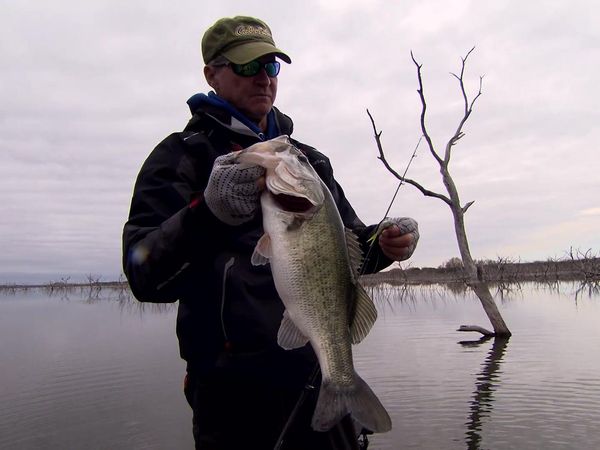 Americana Outdoors - Patterning Largemouth Bass