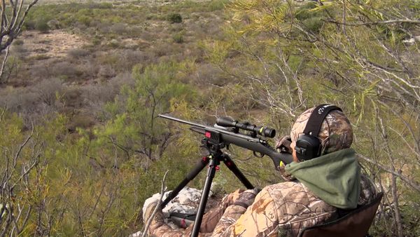 Americana Outdoors - AXIS Hunting Adventures
