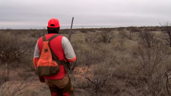 Americana Outdoors - Wingshooting Adventures