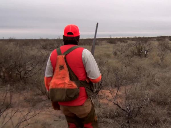 Americana Outdoors - Wingshooting Adventures