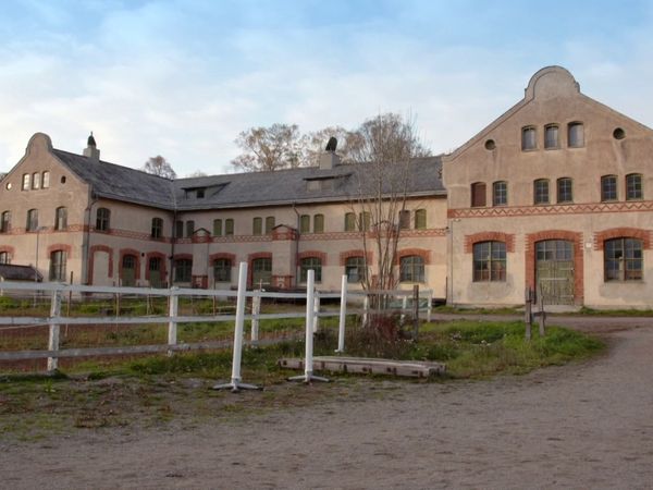 Unga Mammor - Avsnitt 512