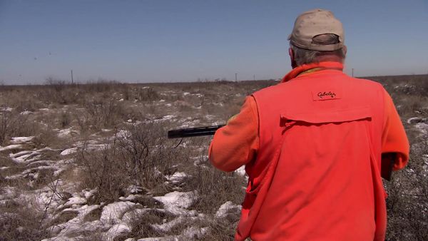 Americana Outdoors - Kentucky Archery Hunting and The Rolling Plains Quail Research Foundation