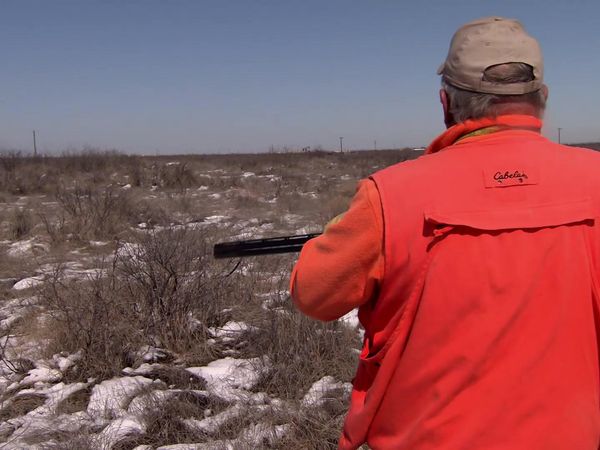 Americana Outdoors - Kentucky Archery Hunting and The Rolling Plains Quail Research Foundation