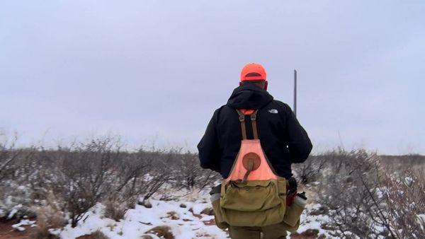 Americana Outdoors - A Texas Blue Quail Adventure