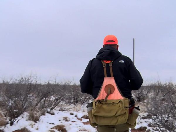 Americana Outdoors - A Texas Blue Quail Adventure