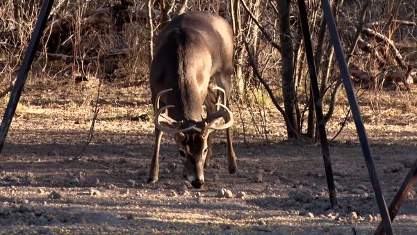 Americana Outdoors - Time Outdoors with Fred Roumbanis