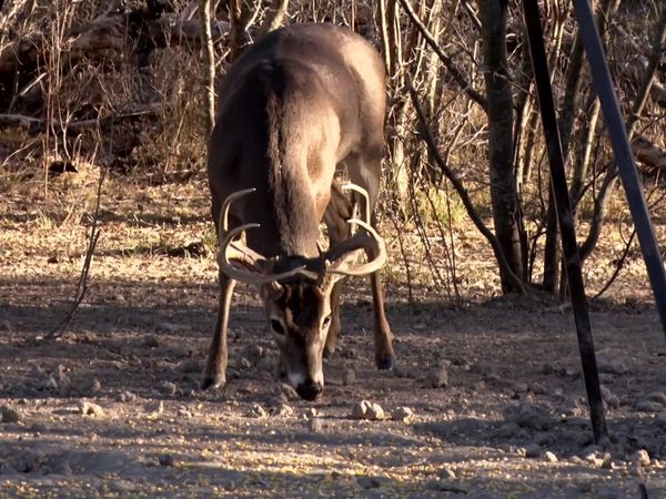 Americana Outdoors - Time Outdoors with Fred Roumbanis
