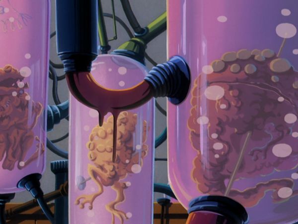 ¡Ripley's, aunque usted no lo crea! - Paz para una princesa