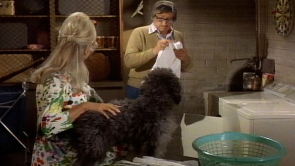 The Doris Day Show - It's a Dog's Life