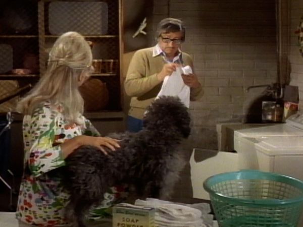 The Doris Day Show - It's a Dog's Life