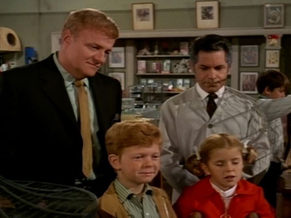 Family Affair - Goodbye Harold