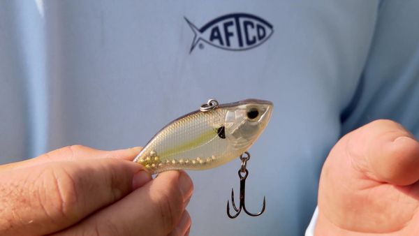 Fisherman's Handbook - Secrets from Pro Anglers - Choosing a Bait to Catching More Bass