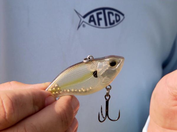 Fisherman's Handbook - Secrets from Pro Anglers - Choosing a Bait to Catching More Bass