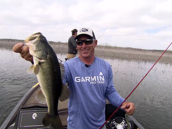 Fisherman's Handbook - Fishing for Largemouth Bass in the Grass and Bushes