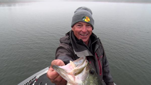 Fisherman's Handbook - Simply Catching Bass