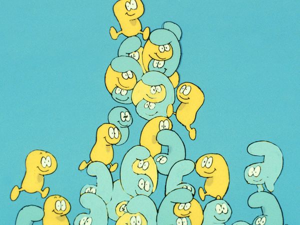 Érase una vez... El cuerpo humano - Los huesos y el esqueleto