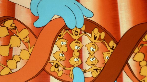 Érase una vez... El cuerpo humano - La cadena de la vida