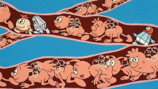 Érase una vez... El cuerpo humano - La boca y los dientes