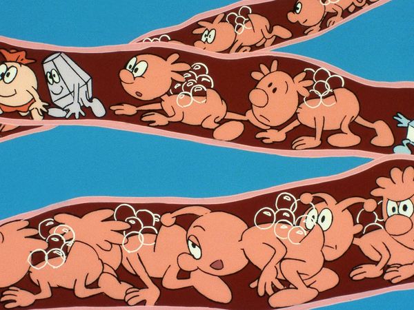 Érase una vez... El cuerpo humano - La boca y los dientes