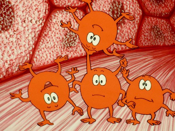 Érase una vez... El cuerpo humano - Los músculos