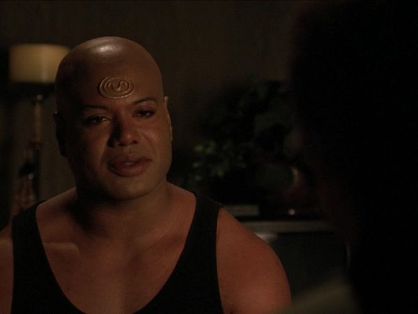 Stargate SG-1 - Fallen