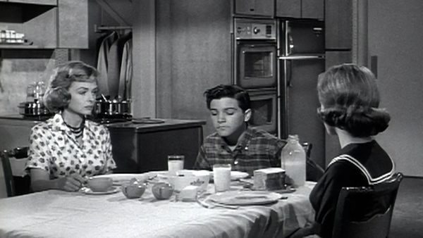 The Donna Reed Show - Mouse at Play