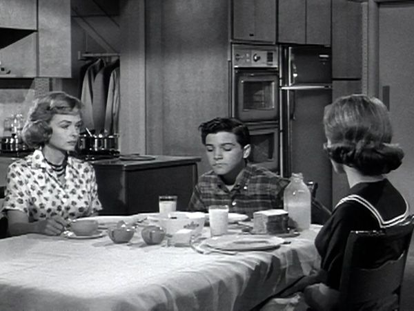 The Donna Reed Show - Mouse at Play