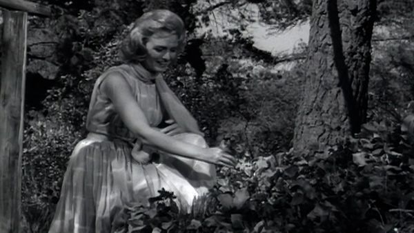 The Donna Reed Show - One of Those Days