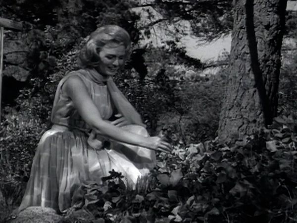 The Donna Reed Show - One of Those Days